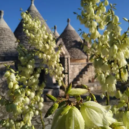 Trullo Dell'attore * Cisternino