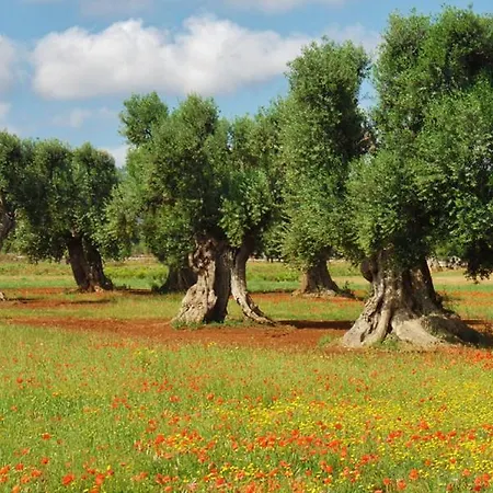 Trullo Dell'attore