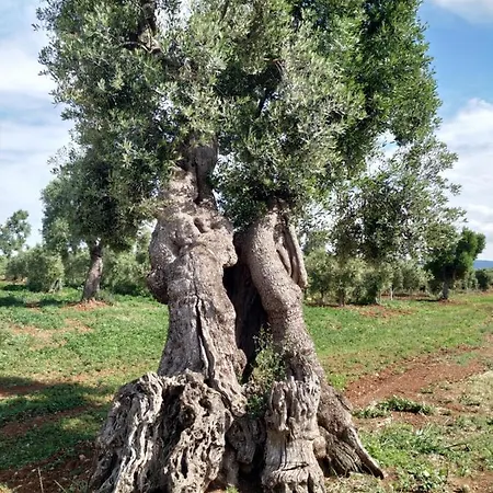 Trullo Dell'attore *